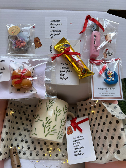 Surprise Gift Hamper Box for Him – Cute Premium Mini Gift Set | Wrapped Whimsy