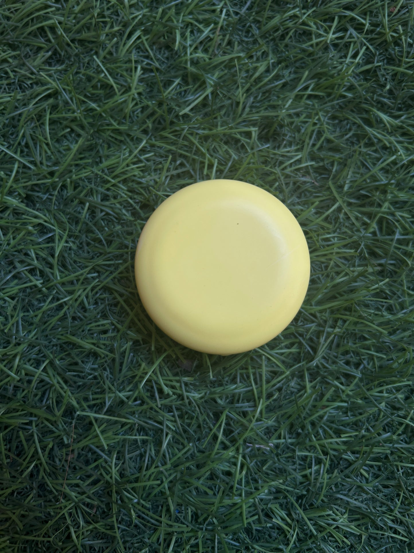 Lip balm in Macaroon container 10g